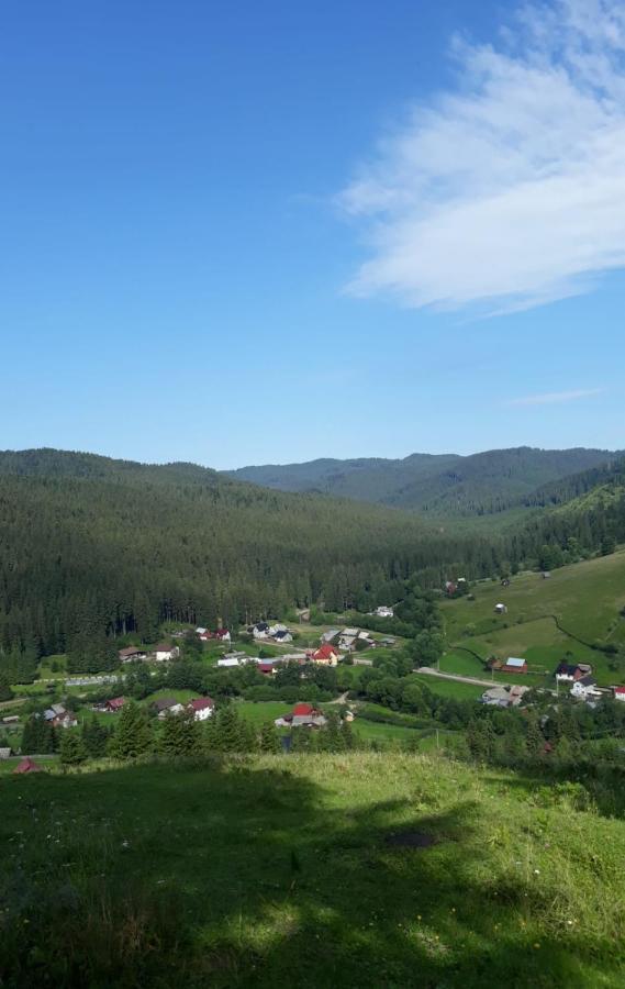 Pensiunea Argela Exterior photo